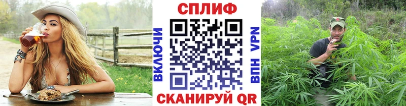 Бошки Шишки план  Бирюсинск 